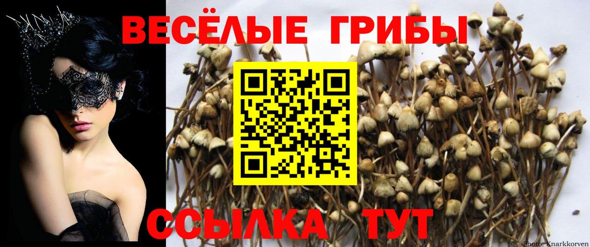 Псилоцибиновые грибы GOLDEN TEACHER Зеленокумск